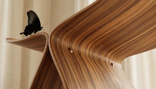 Neexis_Gallery_Wood_Butterfly_Detail